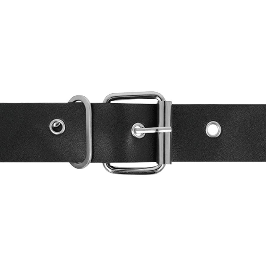 HARNESS ATTRACTION – RNES TAYLOR DELUXE 18 X 4.5CM 4