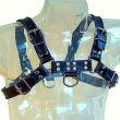 LEATHER BODY – BLUE AND BLACK LEATHER HARNESS CHEST BULLDOG 2