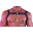MACHO – DOUBLE HARNESS PRIDE LIMITED