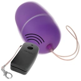 ONLINE - REMOTE CONTROLLED VIBRATING EGG PURPLE